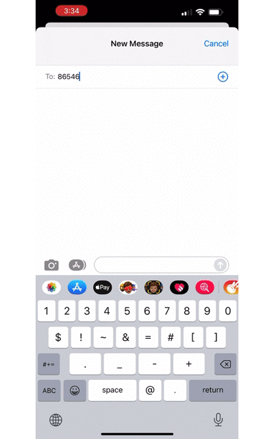 Text2PrayerForm.gif