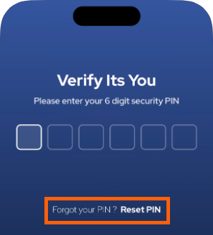 giving-stewardpay-iphone-reset_pin.png